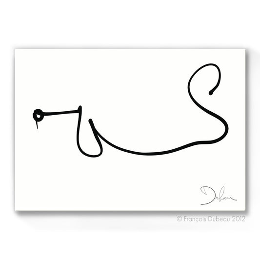 Basset